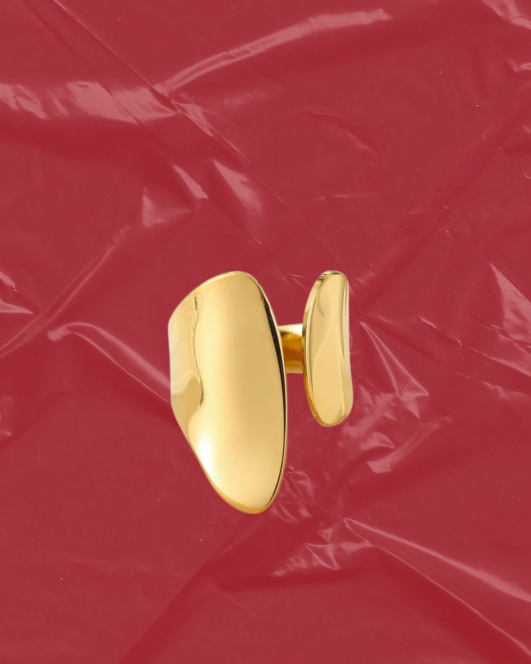 ANILLO PLANET