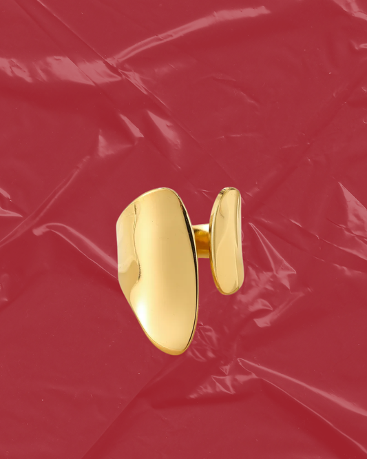ANILLO PLANET